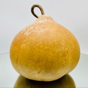 Clean Dried Natural Gourd 
ARTS & CRAFTS Project Ready ~ Box & Lid Candle Holder